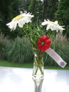poppy1